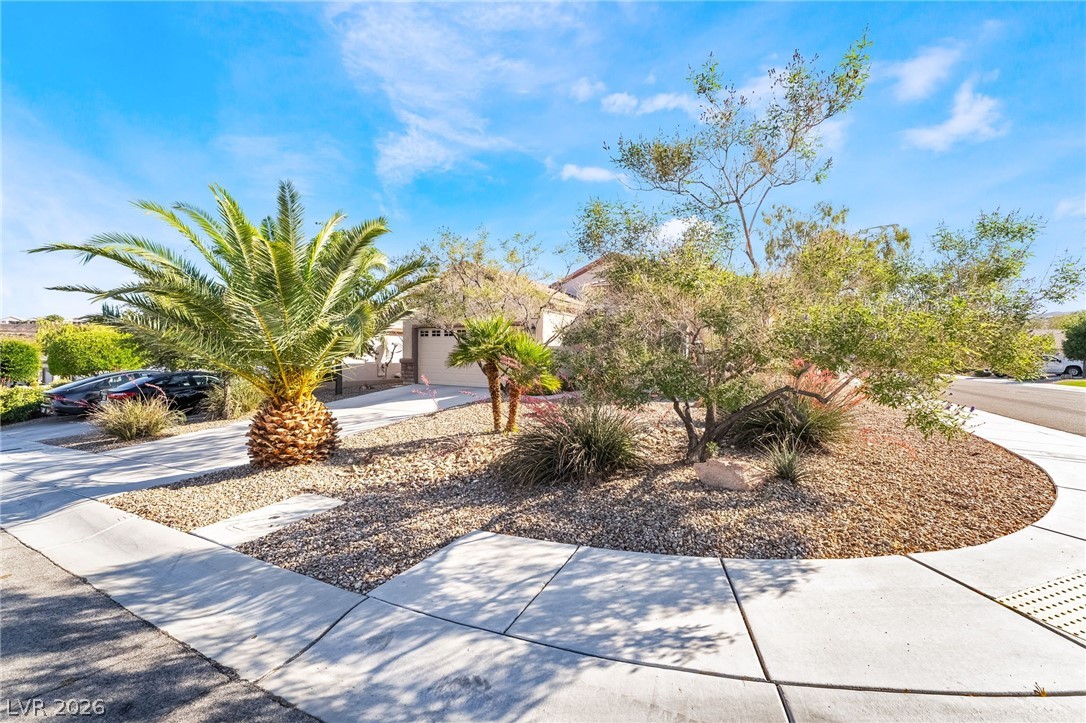 2570 Cosmic Dust Street Henderson NV 89044
