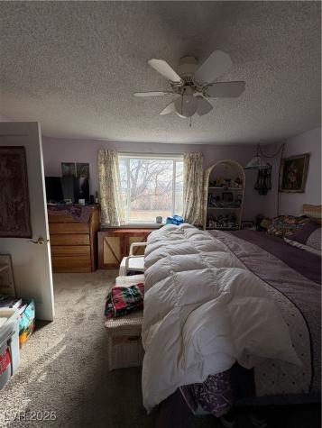 1260 South Baker Avenue Other NV 89311