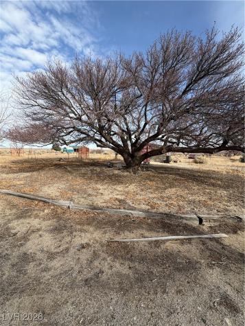 1260 South Baker Avenue Other NV 89311