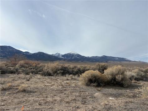 1260 South Baker Avenue Other NV 89311