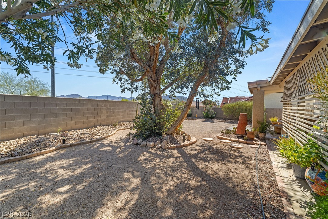 185 Horizon View Drive Henderson NV 89015