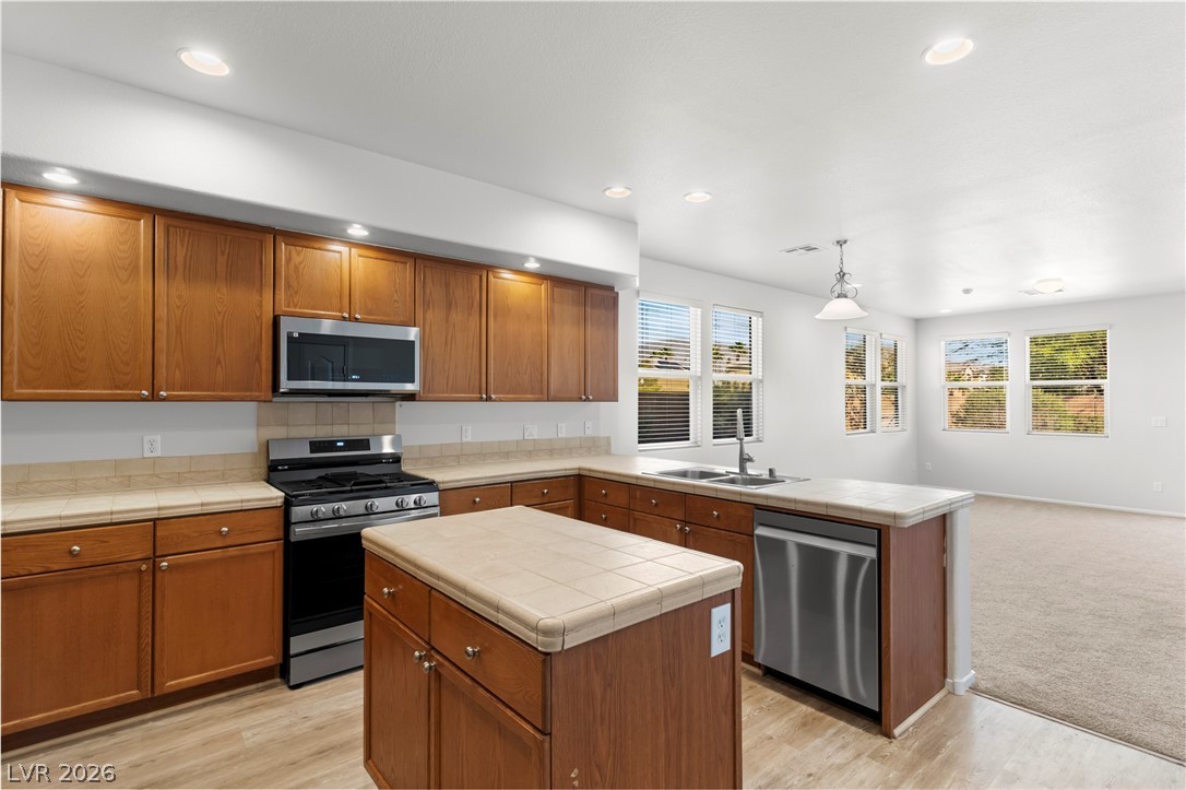 7054 Pink Flamingos Place North Las Vegas NV 89084