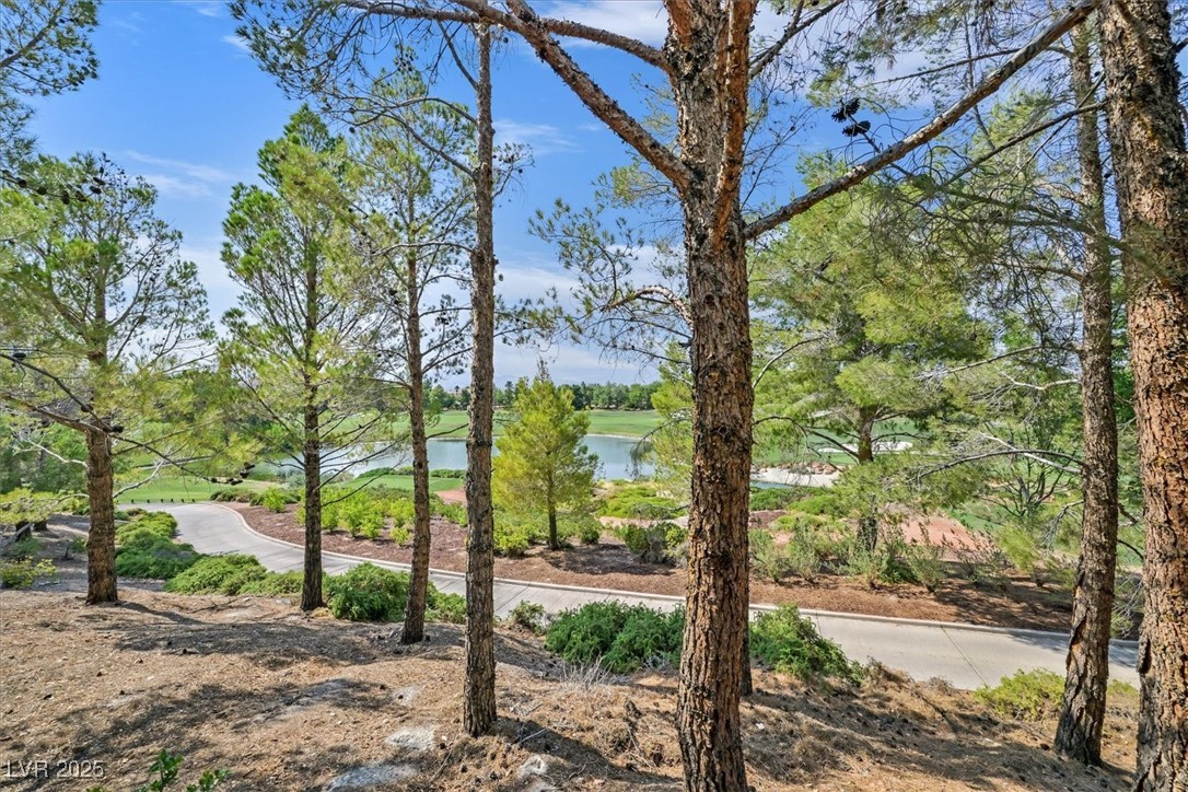 11772 Canons Brook Drive Las Vegas NV 89141