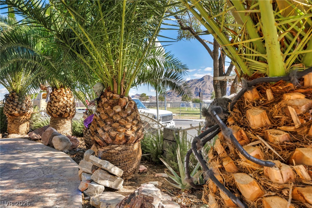 1111 North Christy Lane Las Vegas NV 89110