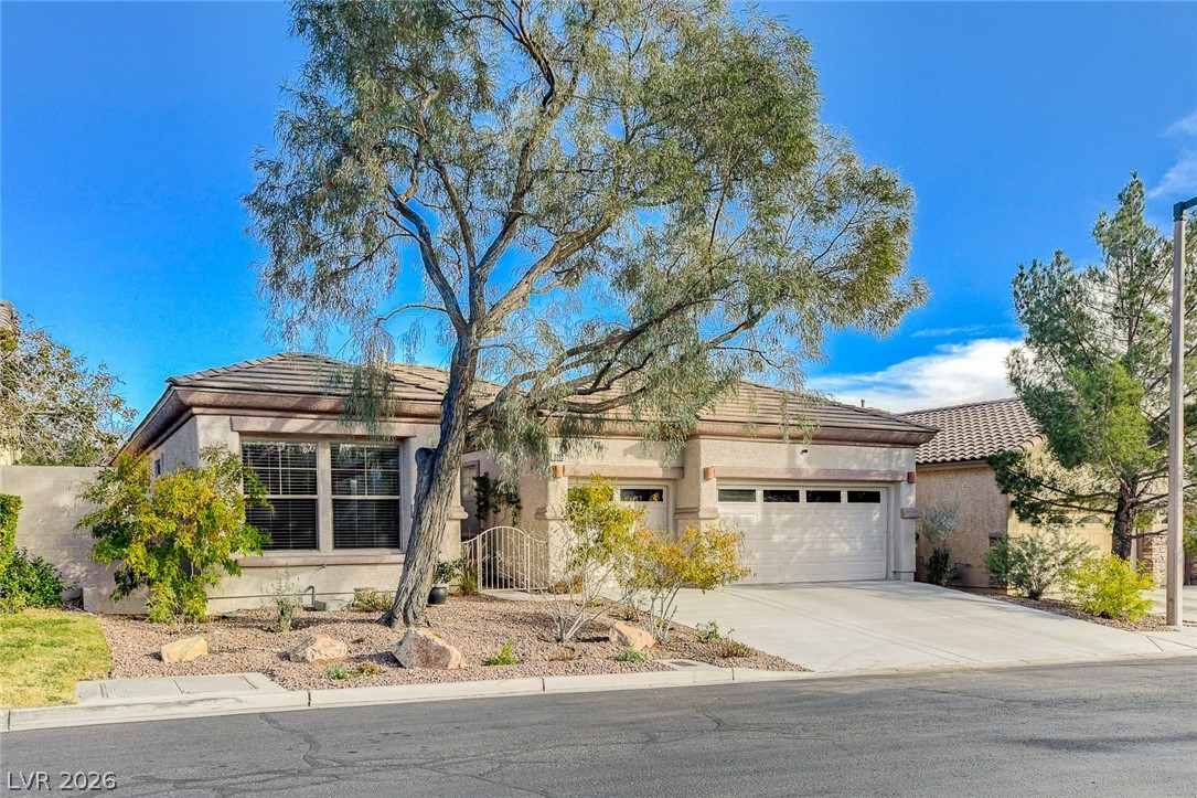 3290 Squire Street Las Vegas NV 89135