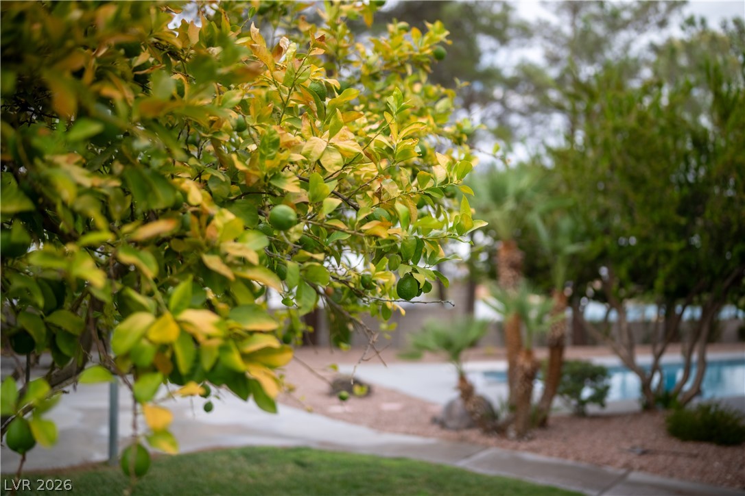18 Hummingbird Circle Henderson NV 89014