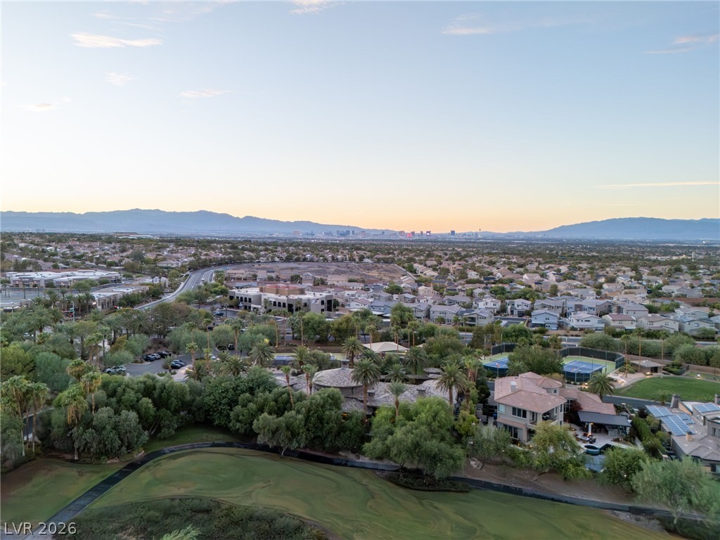1513 Foothills Village Drive Henderson NV 89012