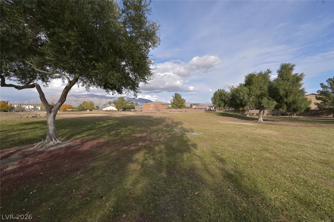 728 Emerson Creek Court North Las Vegas NV 89084
