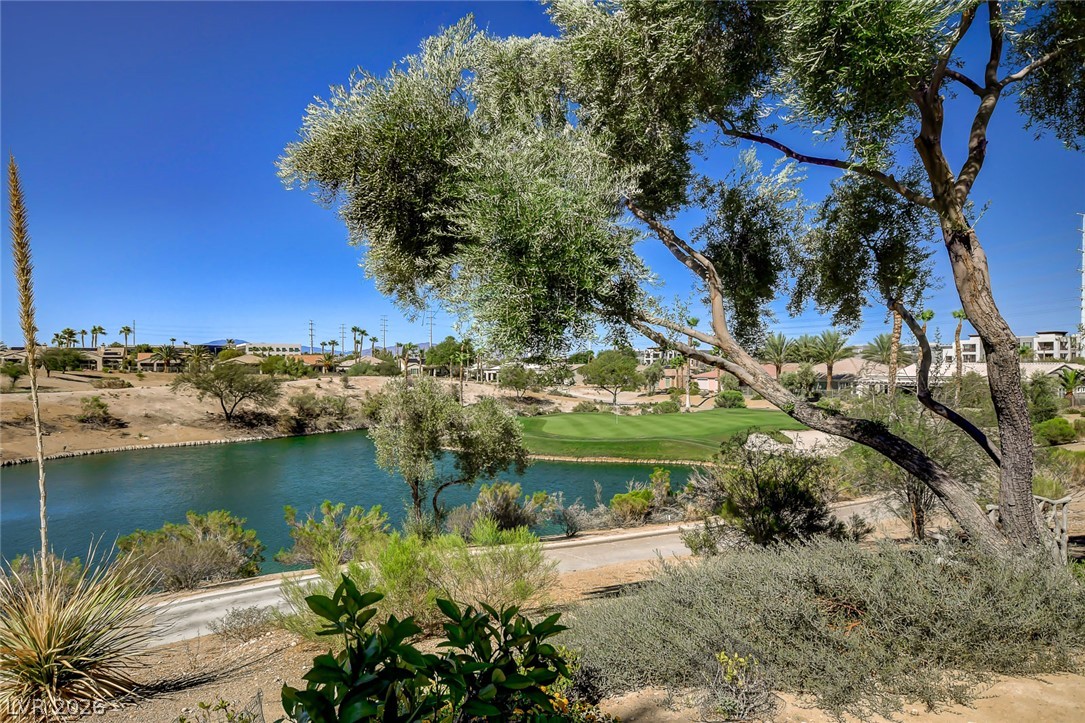 10266 Romantico Drive Las Vegas NV 89135