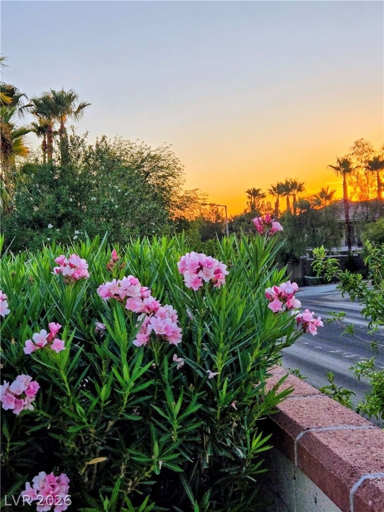 2312 Alpine Pointe Lane Las Vegas NV 89134
