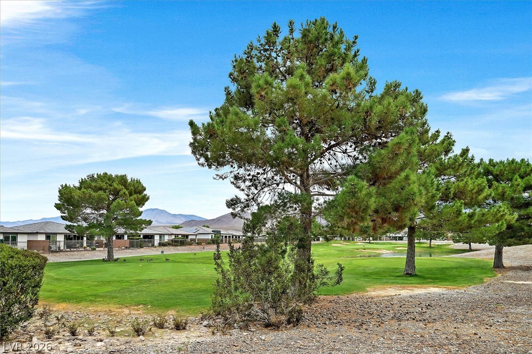 4854 East Cactus Canyon Drive Pahrump NV 89061