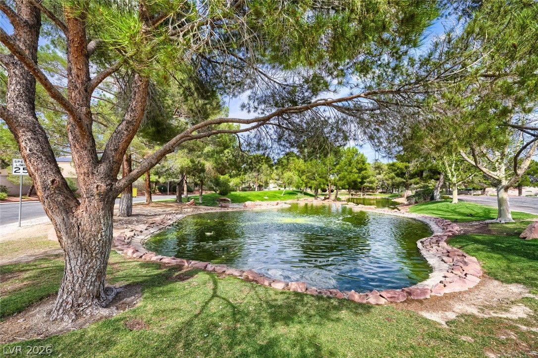 9536 Cliff View Way Las Vegas NV 89117