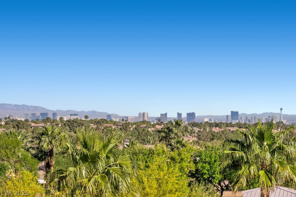 1724 Tangiers Drive Henderson NV 89012