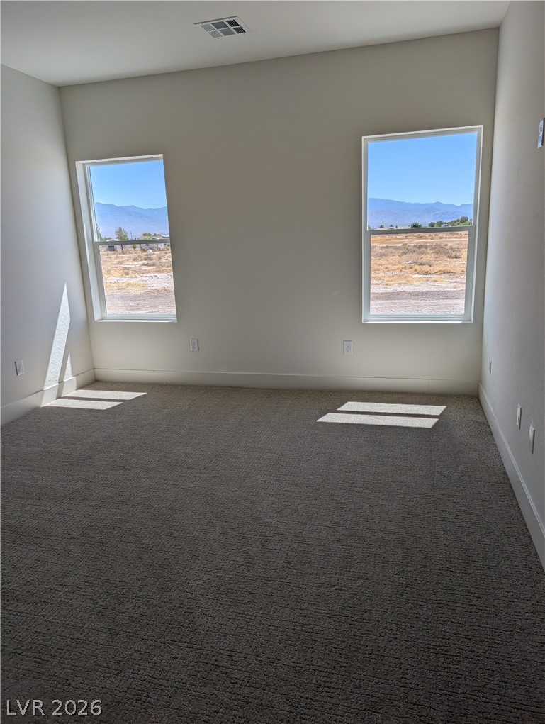 4670 Medicine Man Pahrump NV 89048