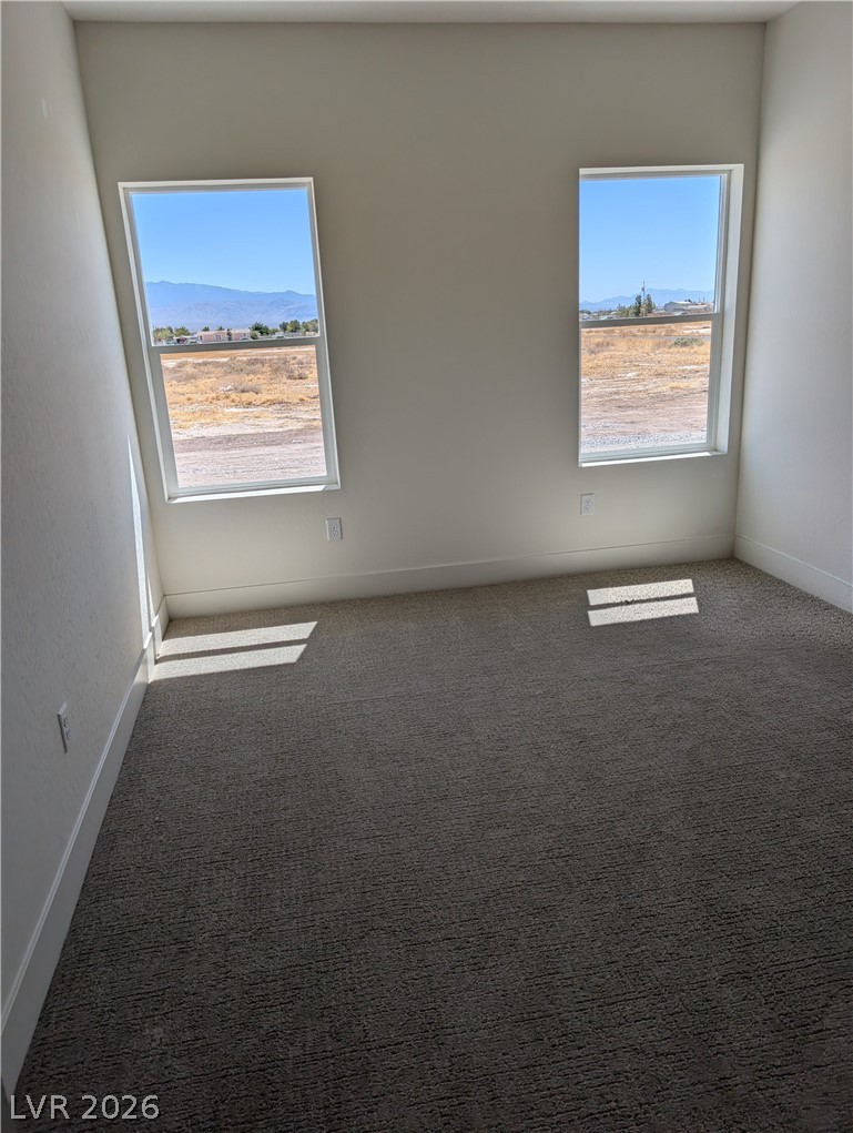 4670 Medicine Man Pahrump NV 89048