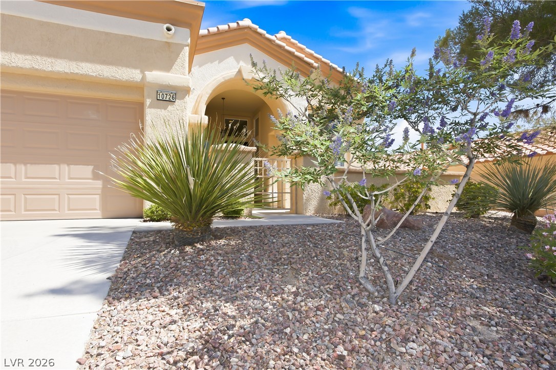 10726 Sky Meadows Avenue Las Vegas NV 89134