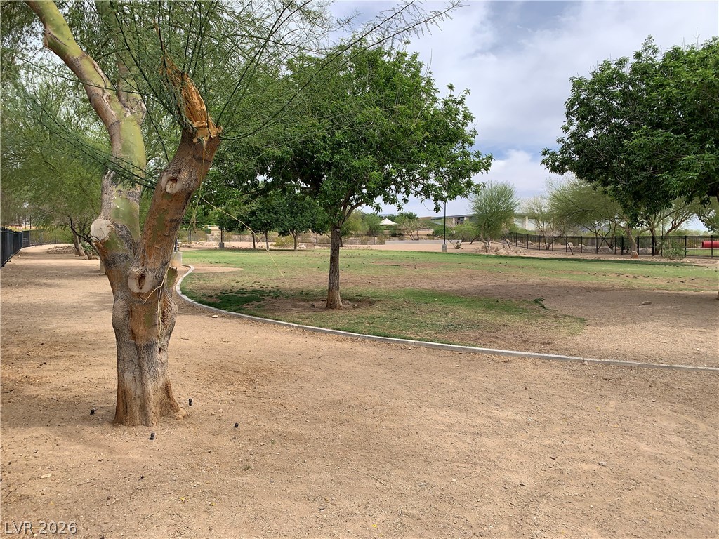 1008 Beaver Crest Terrace Henderson NV 89015