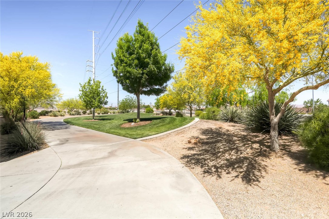 1008 Beaver Crest Terrace Henderson NV 89015