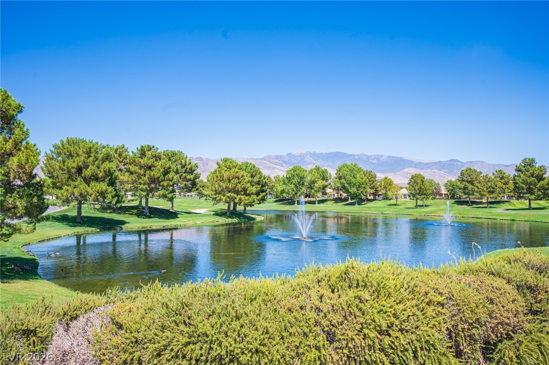 5290 La Terra Avenue Pahrump NV 89061