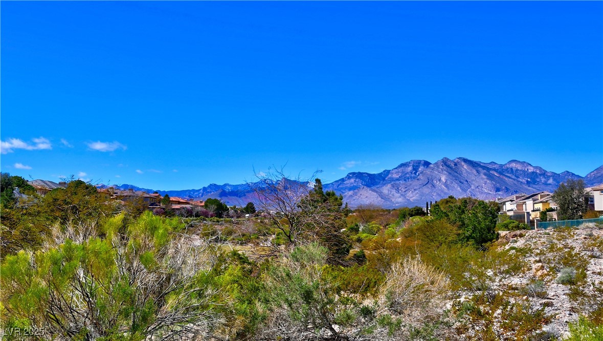 9209 Tudor Park Place Las Vegas NV 89145