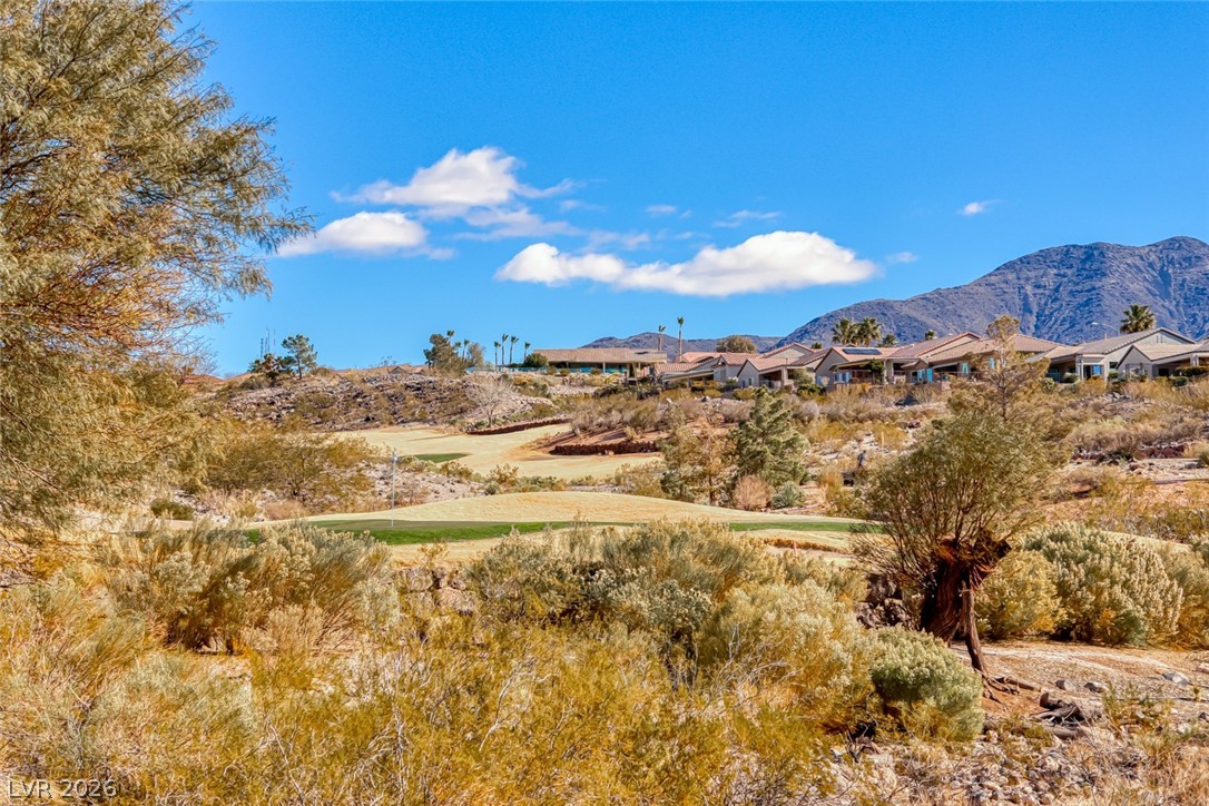2372 Hardin Ridge Drive Henderson NV 89052