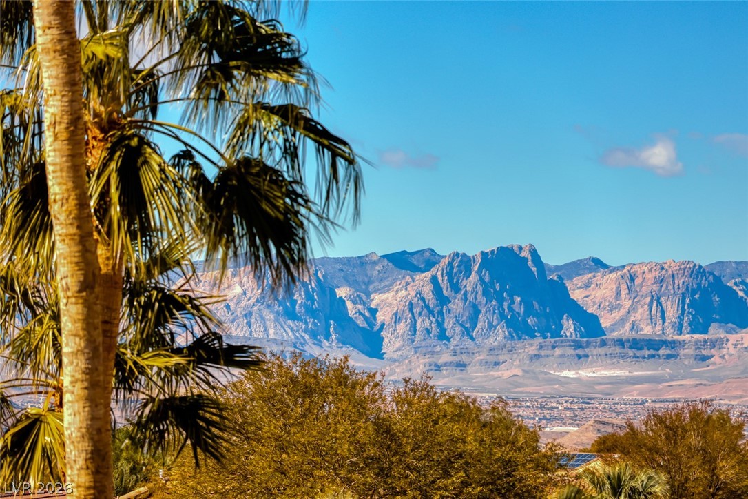 2372 Hardin Ridge Drive Henderson NV 89052