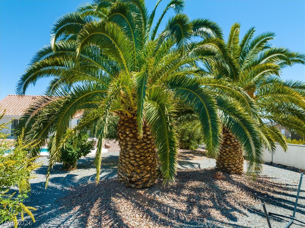 2300 Arado Lane Pahrump NV 89048