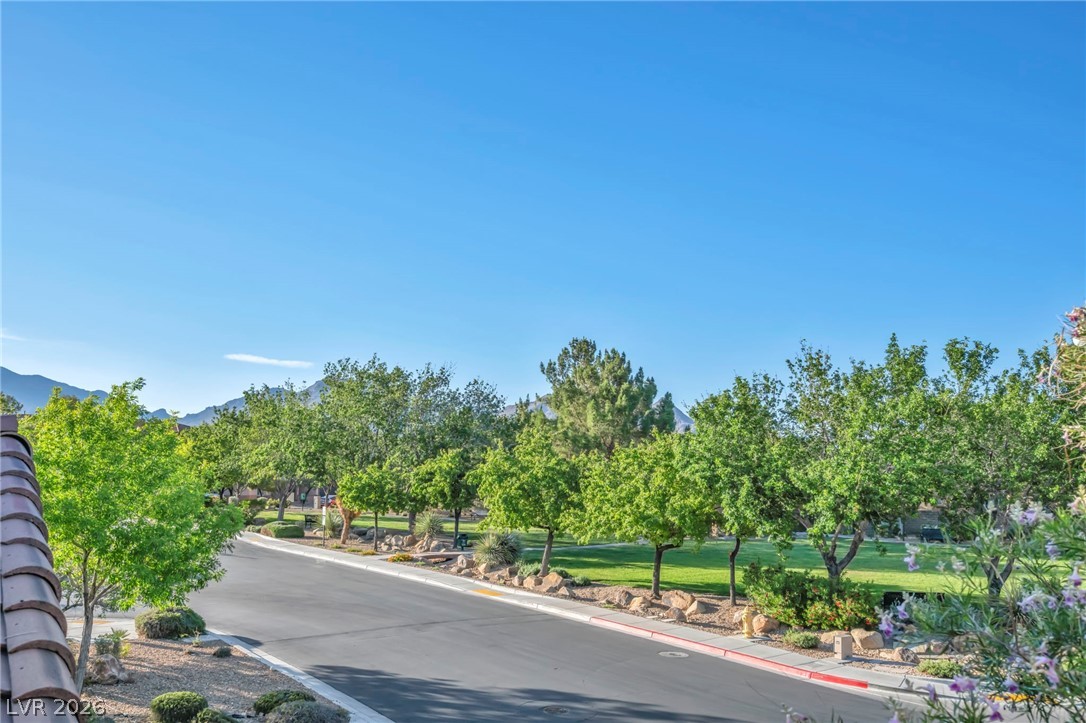 617 Apricot Rose Place Las Vegas NV 89138