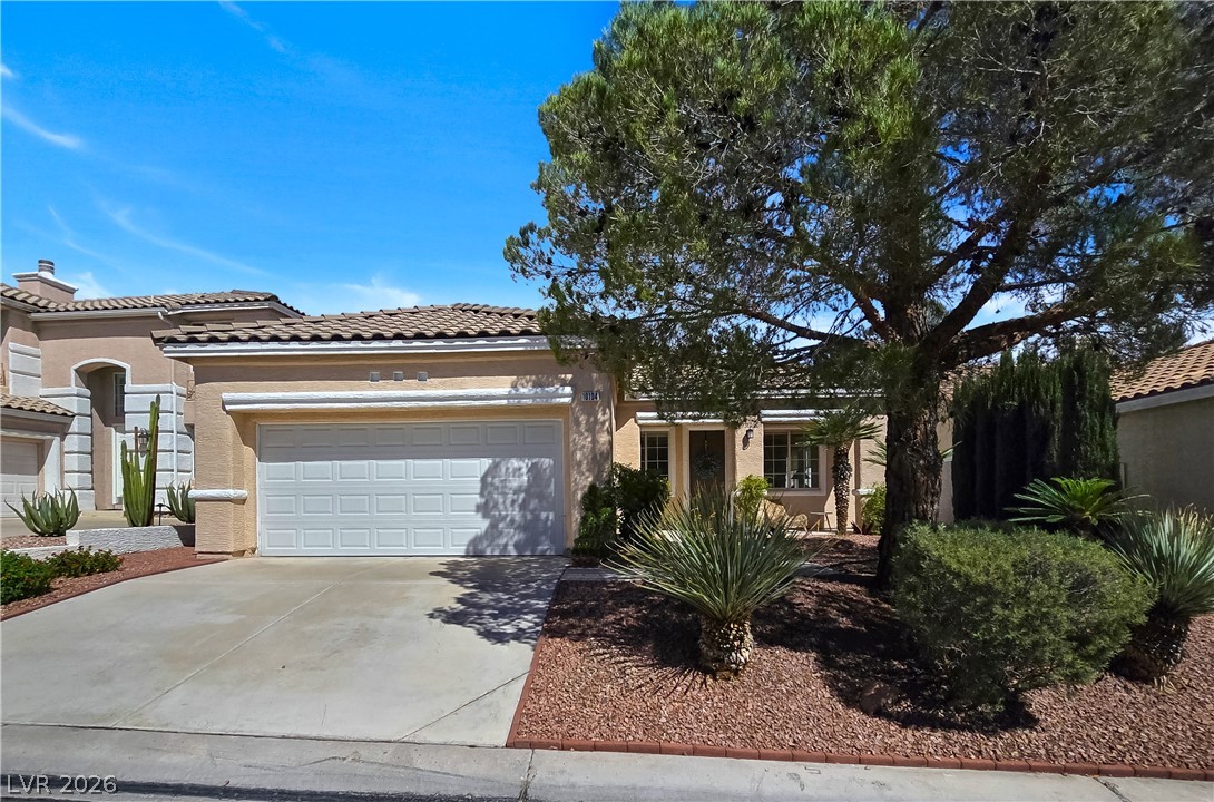 10104 Pinnacle View Place Las Vegas NV 89134
