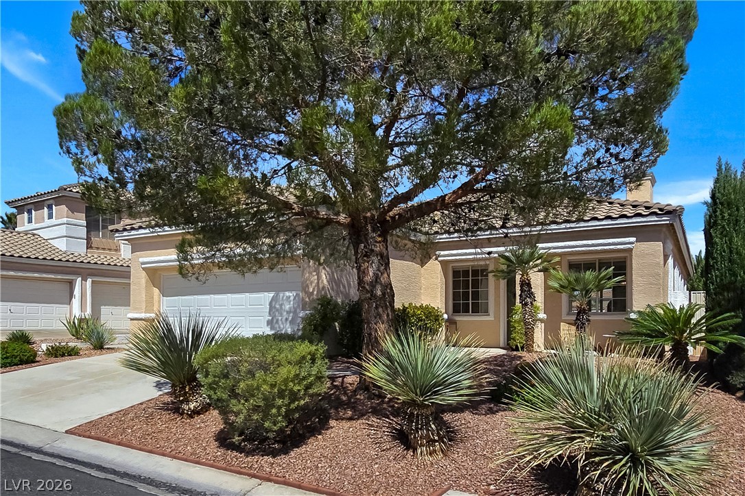 10104 Pinnacle View Place Las Vegas NV 89134