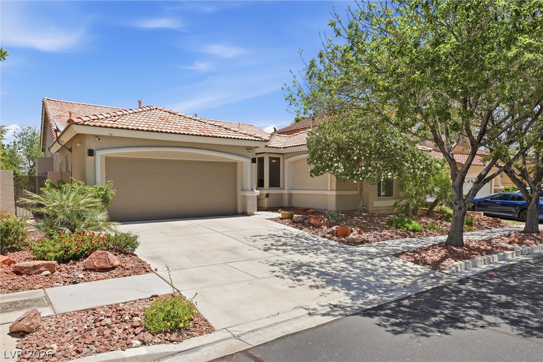 2204 Scarlet Rose Drive Las Vegas NV 89134