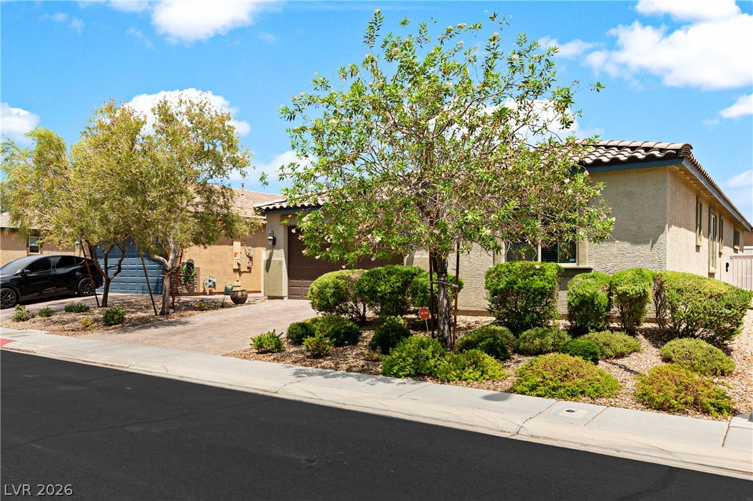 5724 Swan Bridge Street North Las Vegas NV 89081