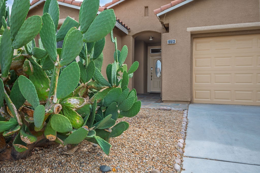 10513 Shanna Trellis Avenue Las Vegas NV 89144