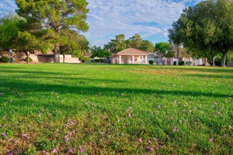 2821 Prickley Pear Drive Henderson NV 89074