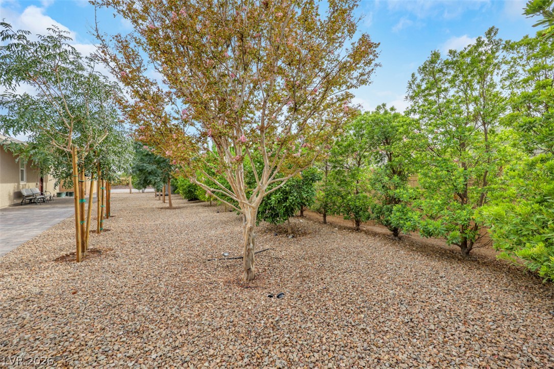 8425 South Tenaya Way Las Vegas NV 89113