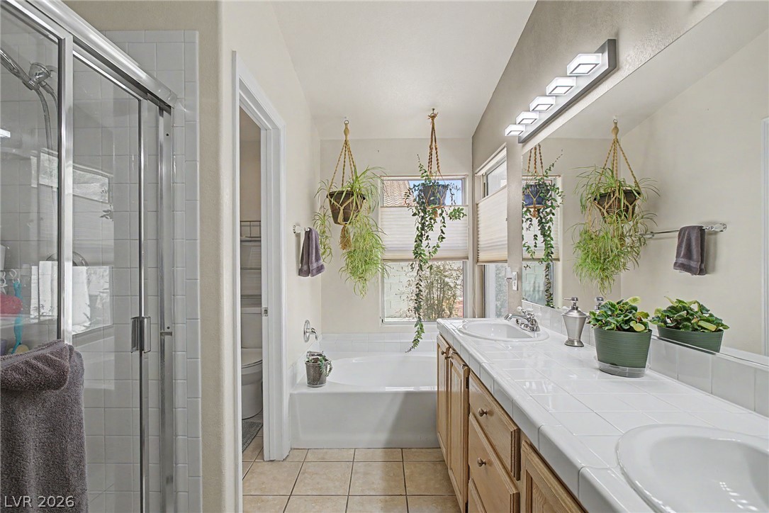 4316 Blushed Meadows Road North Las Vegas NV 89031