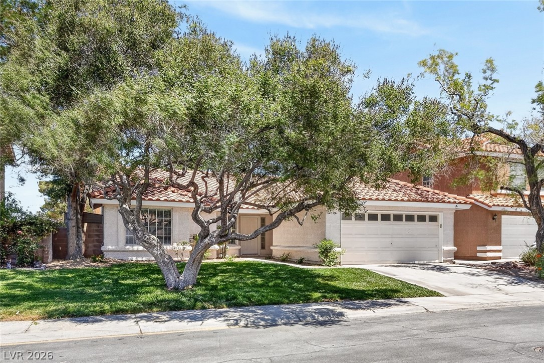 2802 Barrel Cactus Drive Henderson NV 89074