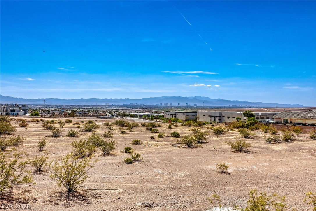 1020 Hollyhock Drive Henderson NV 89011