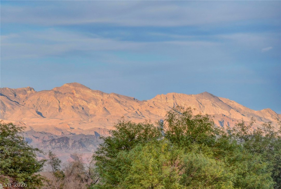 64 Reflection Cove Drive Henderson NV 89011