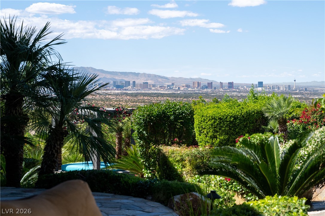 677 Boulder Summit Drive Henderson NV 89012