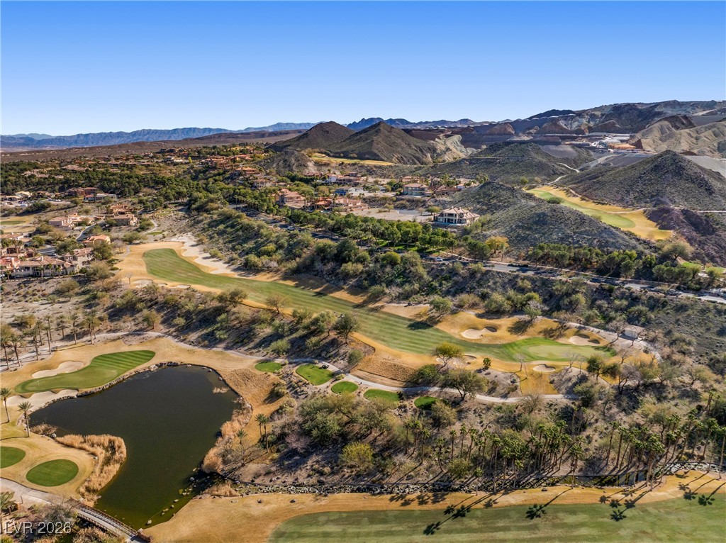 10 Camino La Venta Court Henderson NV 89011
