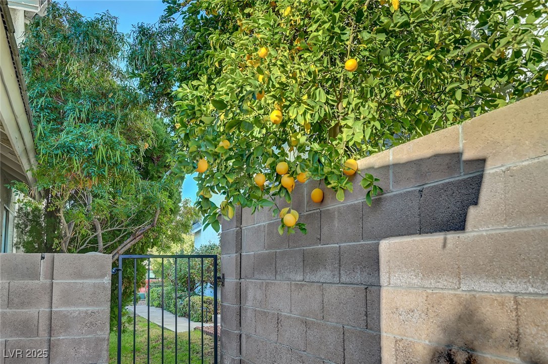 2520 Kilmaron Circle Henderson NV 89014