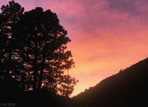 4947 Snow White Road Mount Charleston NV 89124