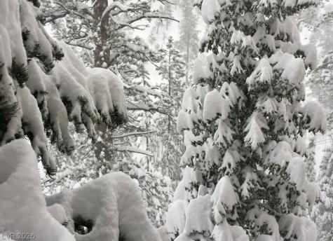 4947 Snow White Road Mount Charleston NV 89124