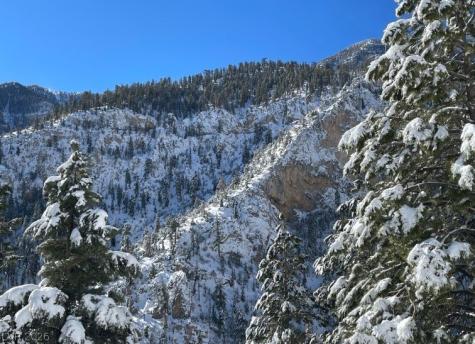 4947 Snow White Road Mount Charleston NV 89124