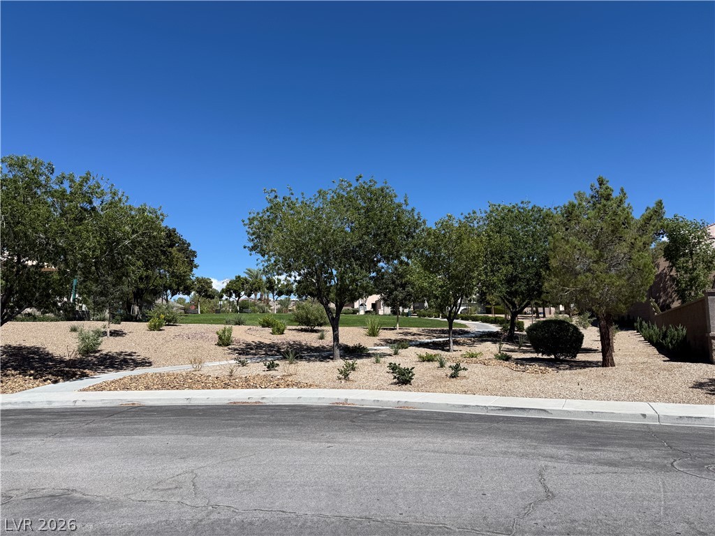 2482 Denholme Street Henderson NV 89044