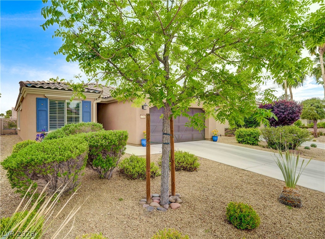 3741 Garnet Heights Avenue North Las Vegas NV 89081