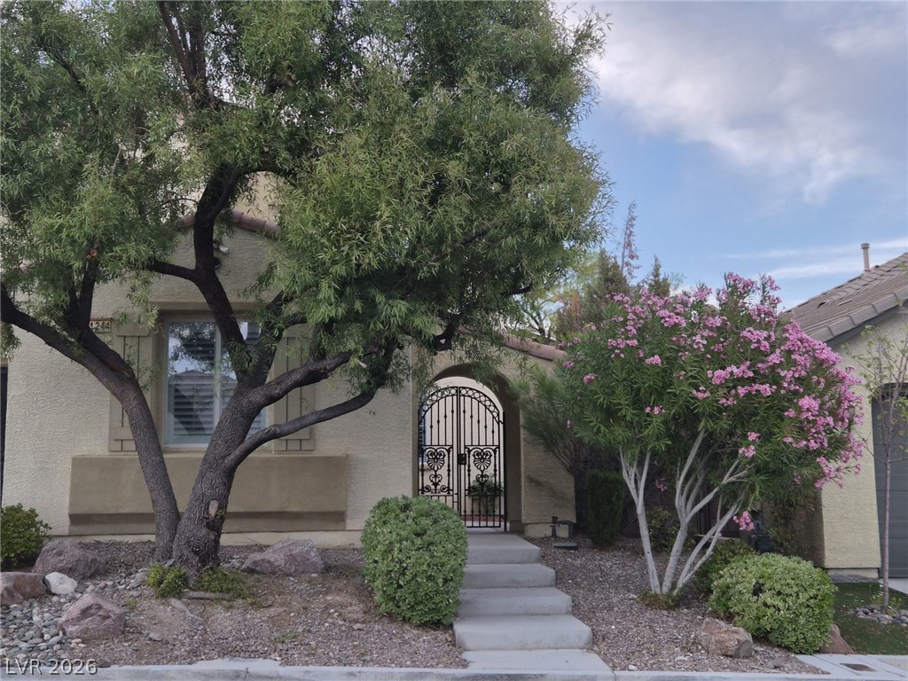 11244 Jasper Grove Avenue Las Vegas NV 89138