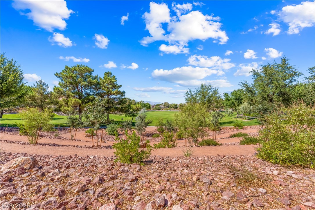 2982 Formia Drive Henderson NV 89052