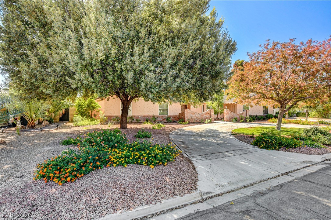 3753 Meadowcrest Drive Las Vegas NV 89121